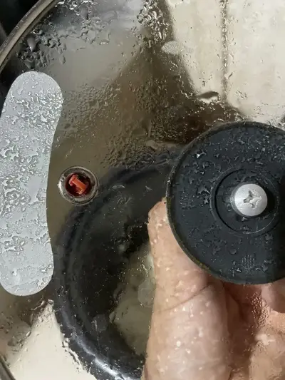 foto de Panela Elétrica Electrolux vapor arroz capacidade 1,3L 7 xícaras manter aquecido panela removível antiaderente tampa vidro RCB50 branca por Rita Lobo​