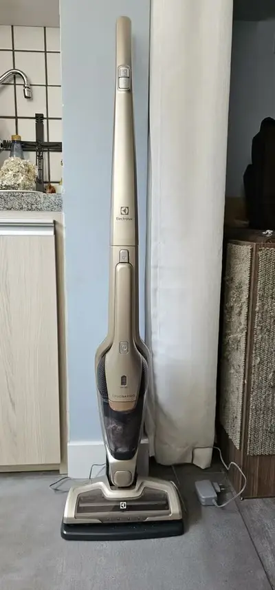 foto de Aspirador de Pó Vertical Sem Fio Electrolux Ergorapido 2 em 1 Bocal Pet até 45 min Dourado (ERG26) Bivolt