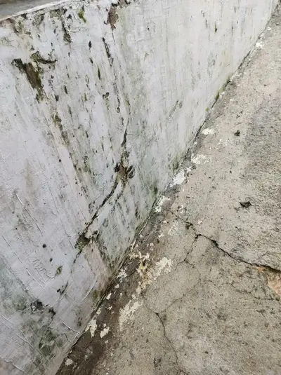 foto de Lavadora de Alta Pressão WAP Ousada Plus 2200 1500W de Potência 1750 PSI