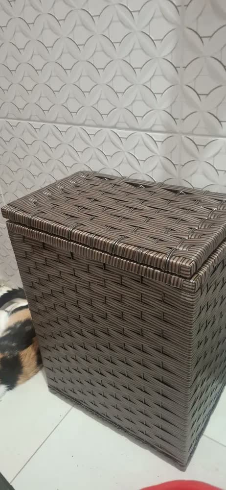 foto de Roupeiro Organizador Roupa Suja Brinquedos 45lts 40x25x55
