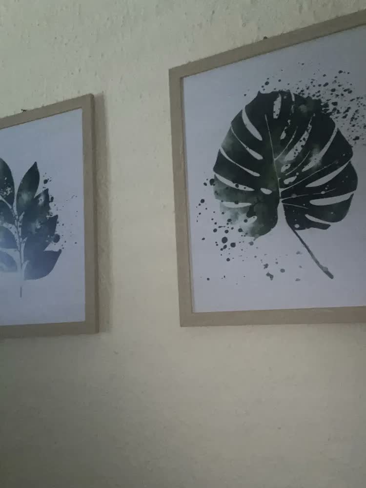 foto de Quadro Decorativo Folhas Botânico Minimalista Costela Adão