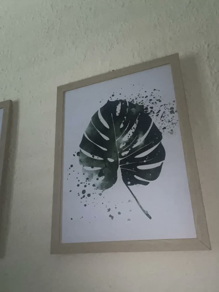 foto de Quadro Decorativo Folhas Botânico Minimalista Costela Adão
