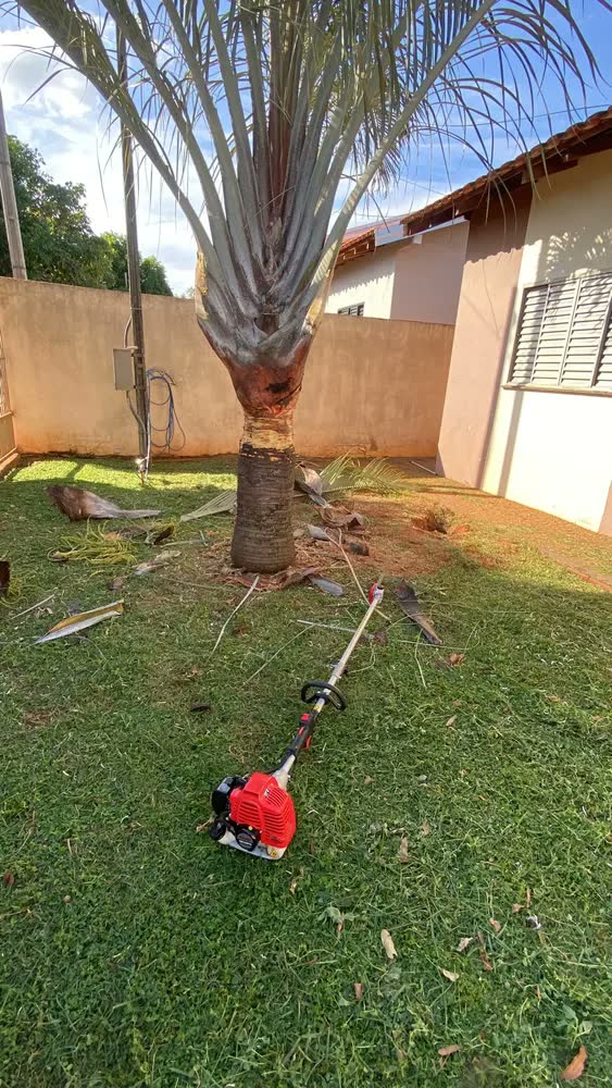 foto de Roçadeira Multifuncional Toyama TBC26MTX 25.4Cc 1HP Gasolina 4 Em 1