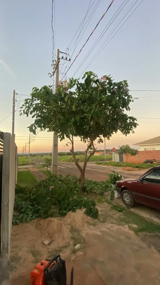 foto de Roçadeira Multifuncional Toyama TBC26MTX 25.4Cc 1HP Gasolina 4 Em 1