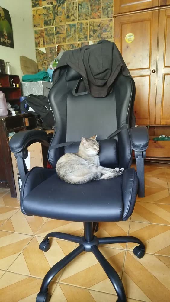 foto de Cadeira de escritório TGT Heron TGT-HR gamer ergonômica vermelha com estofado de couro sintético