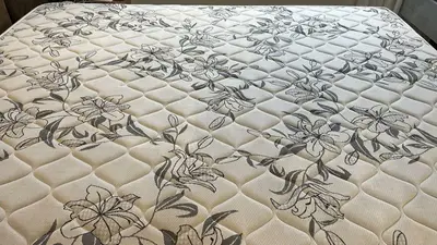 foto de Extratora e Higienizadora Portátil WAP Spot Cleaner W2 1600W - Pulveriza, Esfrega e Extrai