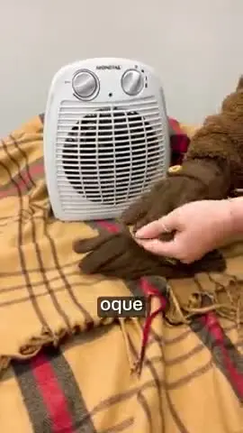 vídeo do produto