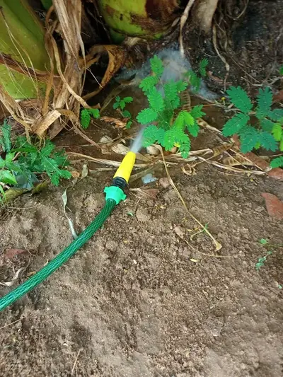 foto de Mangueira De Jardim 50m Metros Com Esguicho Trançada Reforçada Flexível 7/16 Anti Dobra Irrigação Quintal Poço Lavagem Durável Marqs Home