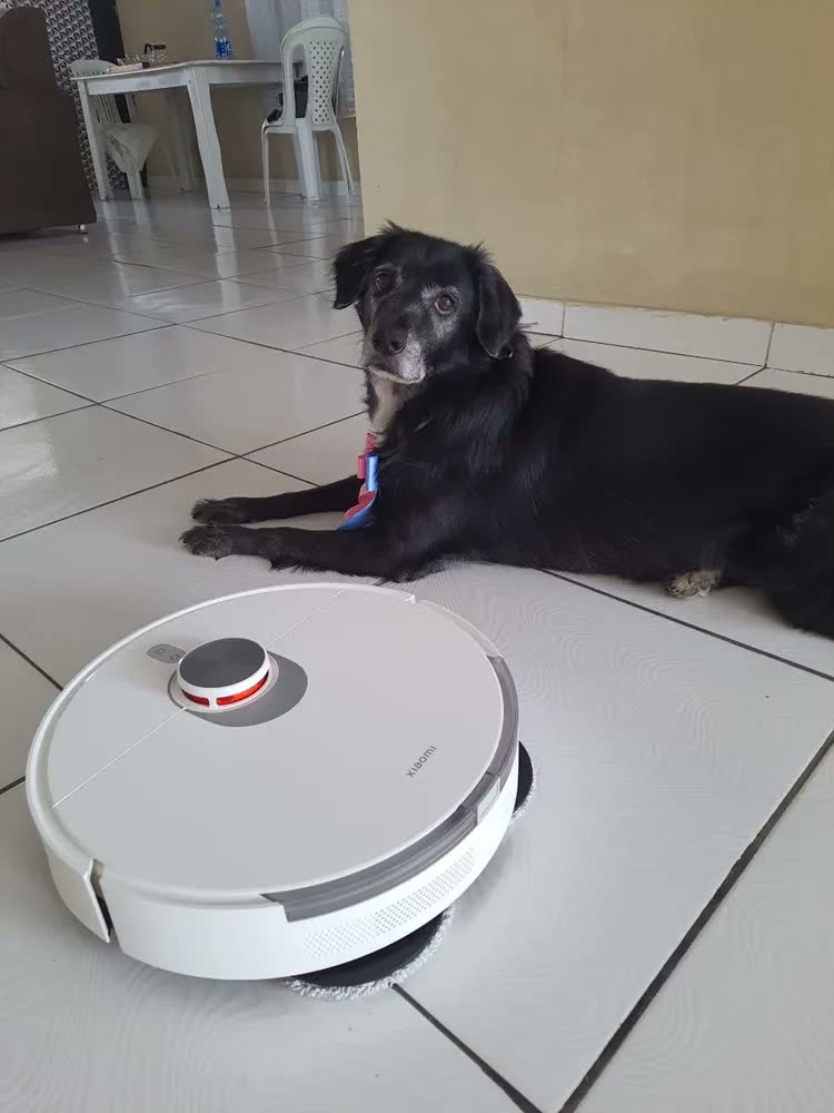 foto de Robô Aspirador Xiaomi S20 + Plus B108gl 2024 Branco