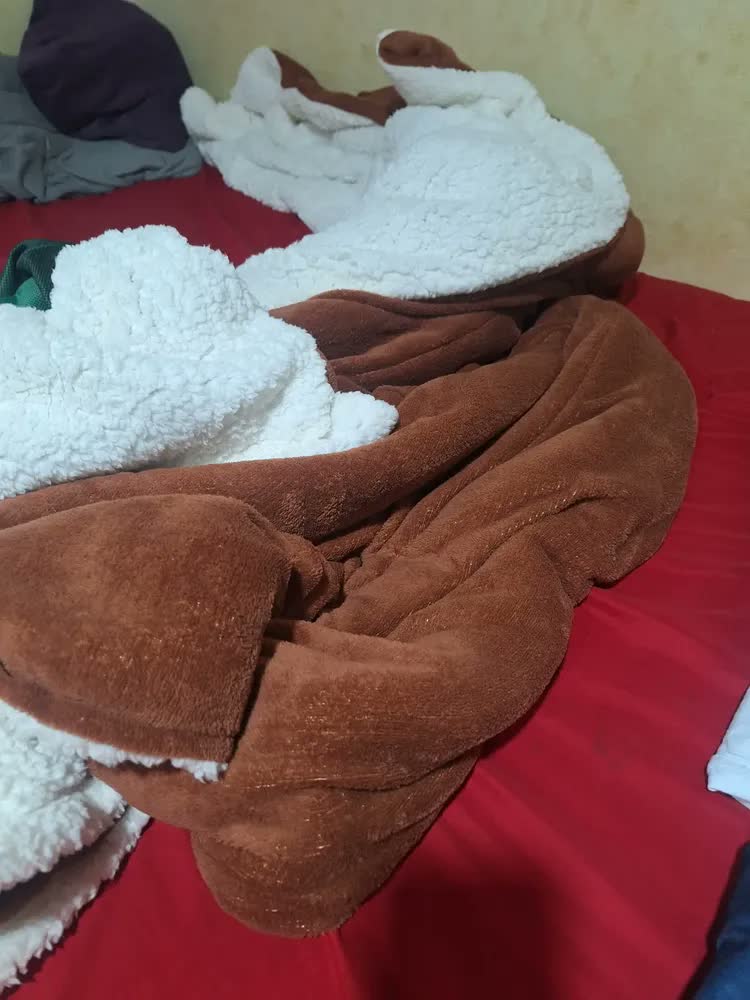 foto de Coberdrom Edredom Casal Queen Dupla Face Lã Carneiro Grosso