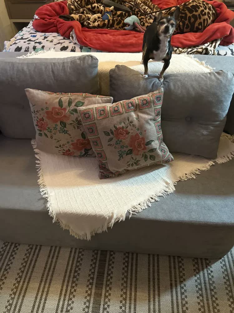 foto de Sofá Cama Reclinável 2 Lugares Espumática Vistra
