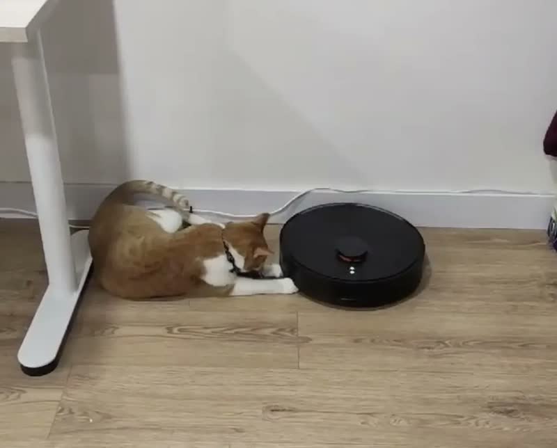 foto de Robô Aspirador Xiaomi S20 Plus Bivolt Passa Pano Limpa Casa Vacuum S20 Preto