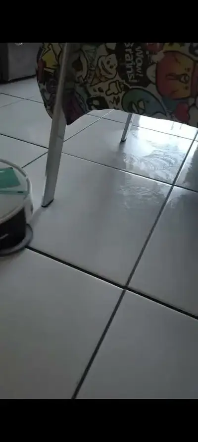 foto de Robô Aspirador de Pó WAP ROBOT W4000 - Estação Autolimpante, Mapeamento LDS 360°, Passa Pano com MOP Giratório