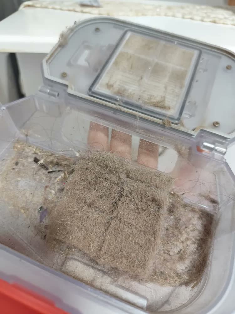 foto de Robo Aspirador De Pó Inteligente S20 Preto Xiaomi