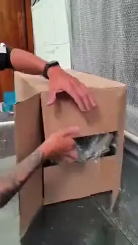 vídeo do produto