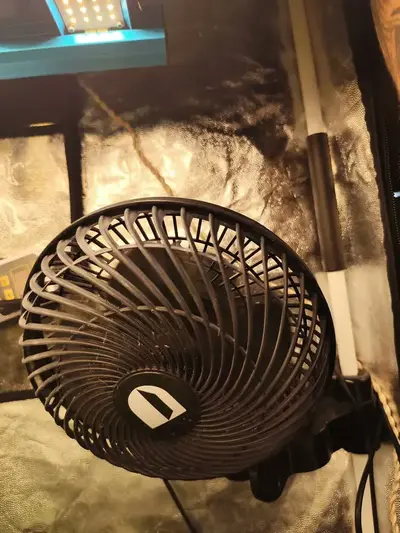 foto de Ventilador Oscilante 20cm Cultivo Indoor Grow Estufa Estrutura Preto Pás Preto Diâmetro 20 cm Material das pás Plástico Quantidade de pás 3