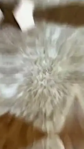 vídeo do produto