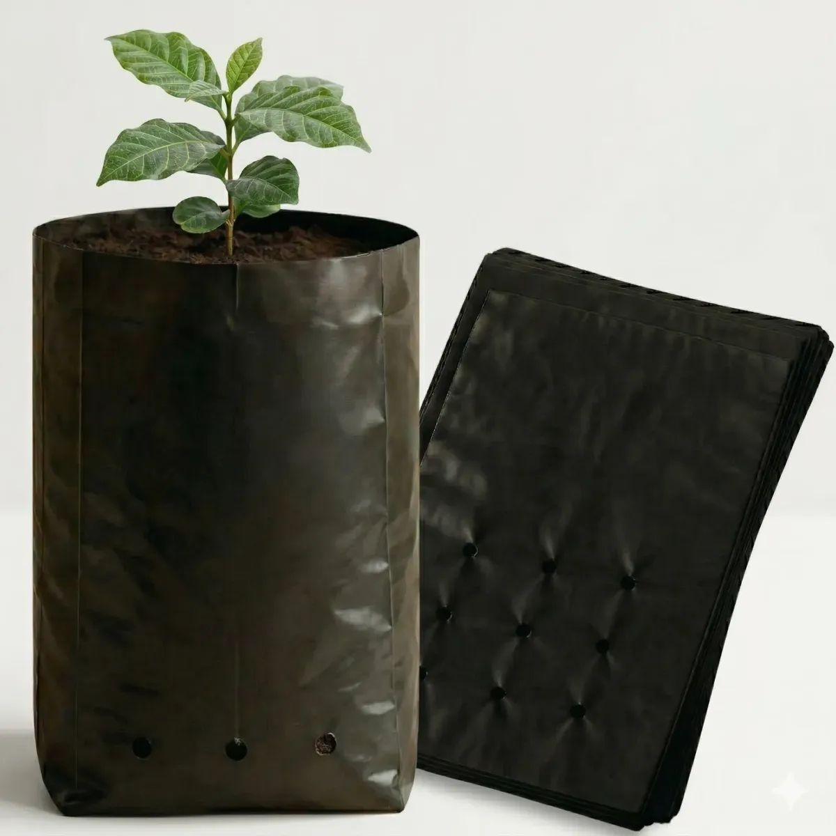 Saco Para Mudas Jabuticaba 18x30 60 Micras 500un Nuplast