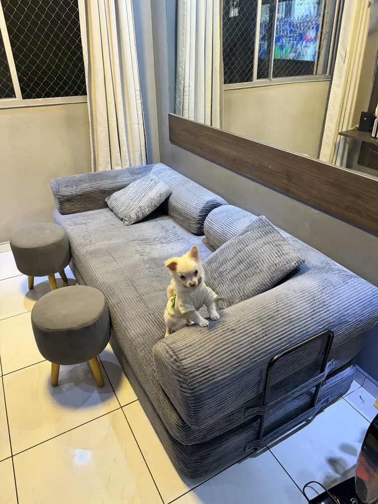 foto de Sofá Cama 3 Lugares Retrátil Reclinável Multifuncional 2,00m