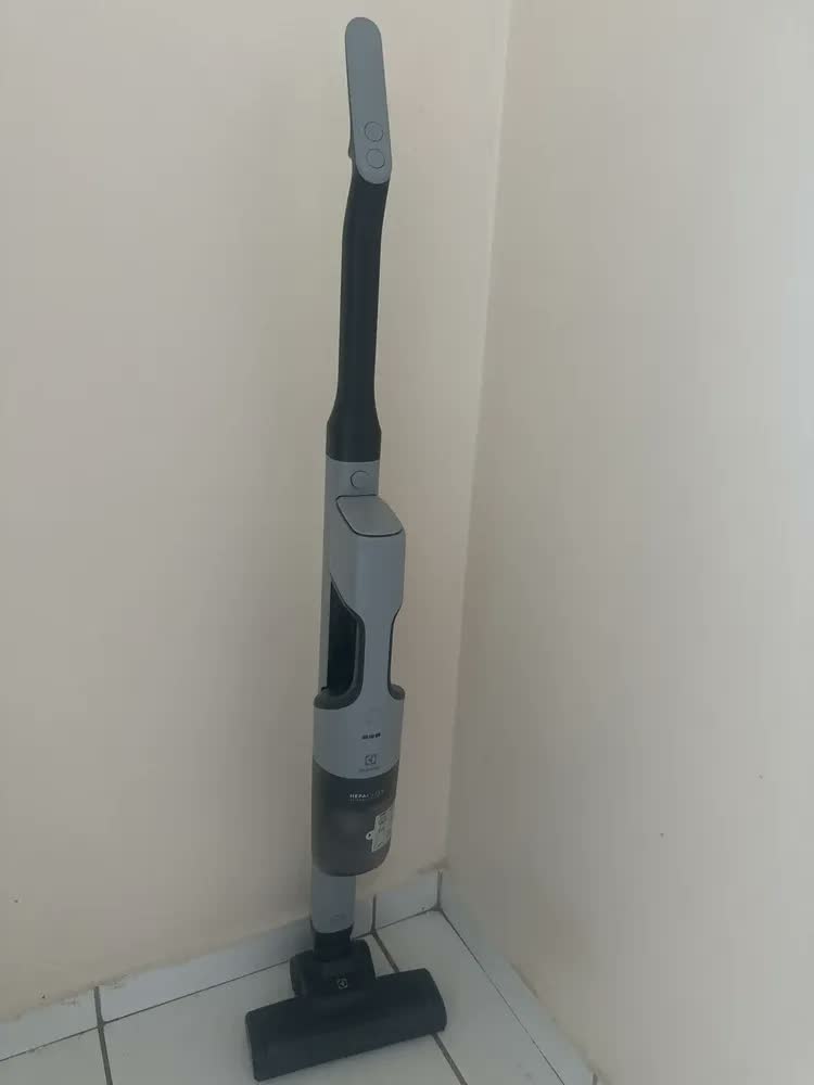 Aspirador De Pó Vertical Sem Fio Electrolux Ergorápido 2 Em