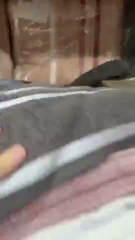 vídeo do produto