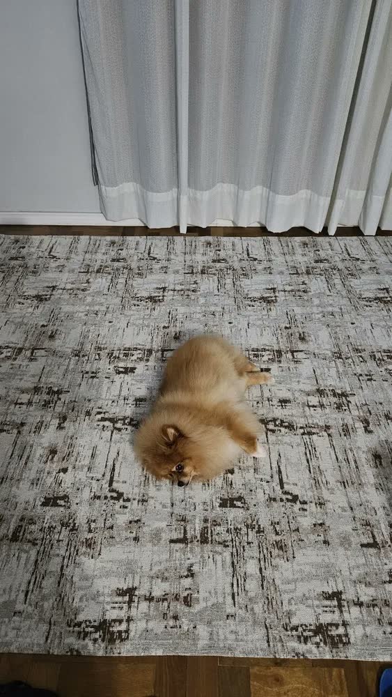 foto de Tapete Grande para Sala e Quarto Algodão Jacquard Antiderrapante 2 x 2.5 m Branco/Cinza
