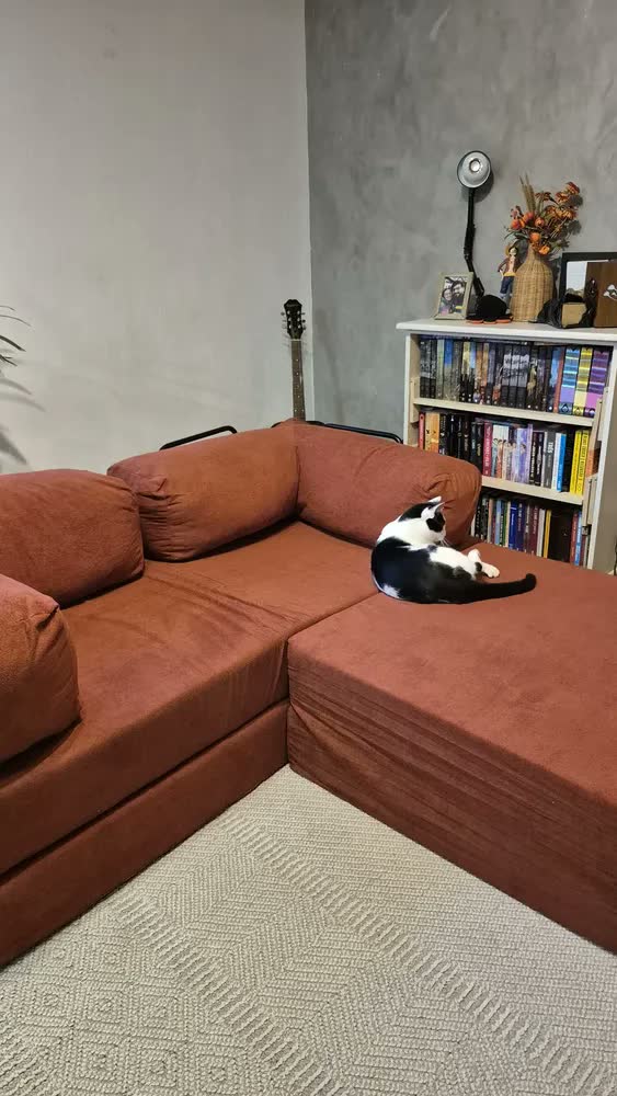 foto de Sofá-Cama Casal Dobrável Buble da Sofa Sogude com Chaise e Colchão Adicional