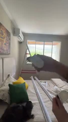 vídeo do produto