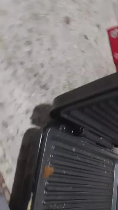 foto de Sanduicheira Elétrica Grill Unitemmi Preto Antiaderente 750W