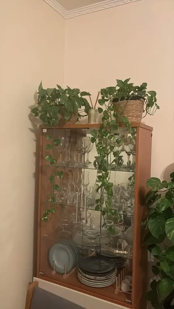 foto de Cesto Vaso Cachepo De Palha Decorativo Sala Varanda Jardim Cor Palha Natural