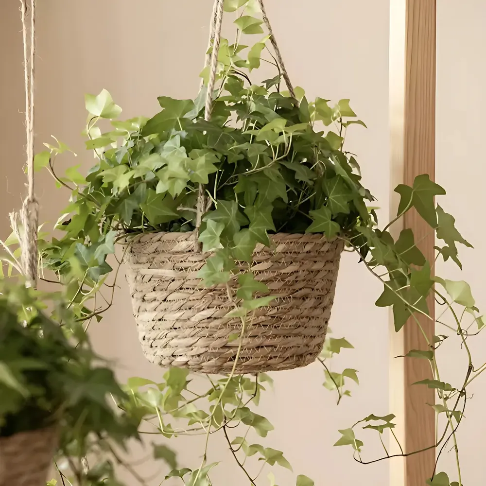 foto de Cesto Vaso Cachepo De Palha Decorativo Sala Varanda Jardim Cor Palha Natural