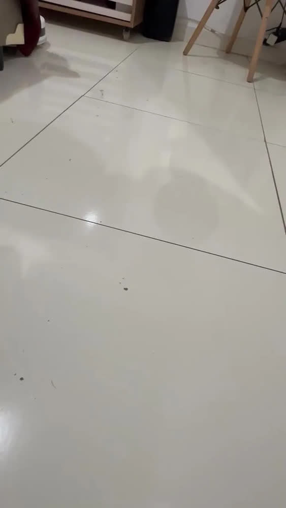 foto de Robô Aspirador Xiaomi H40 10000pa Wi-fi 5200mah Branco 220V