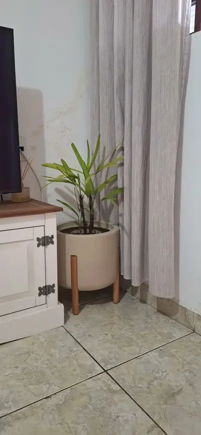 foto de Vaso De Planta Com Pé De Madeira Decoração Moderna Para Casa