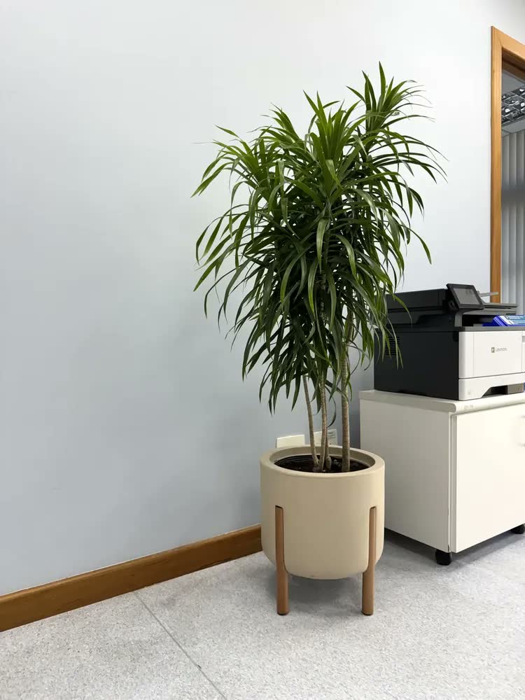 foto de Vaso De Planta Com Pé De Madeira Decoração Moderna Para Casa