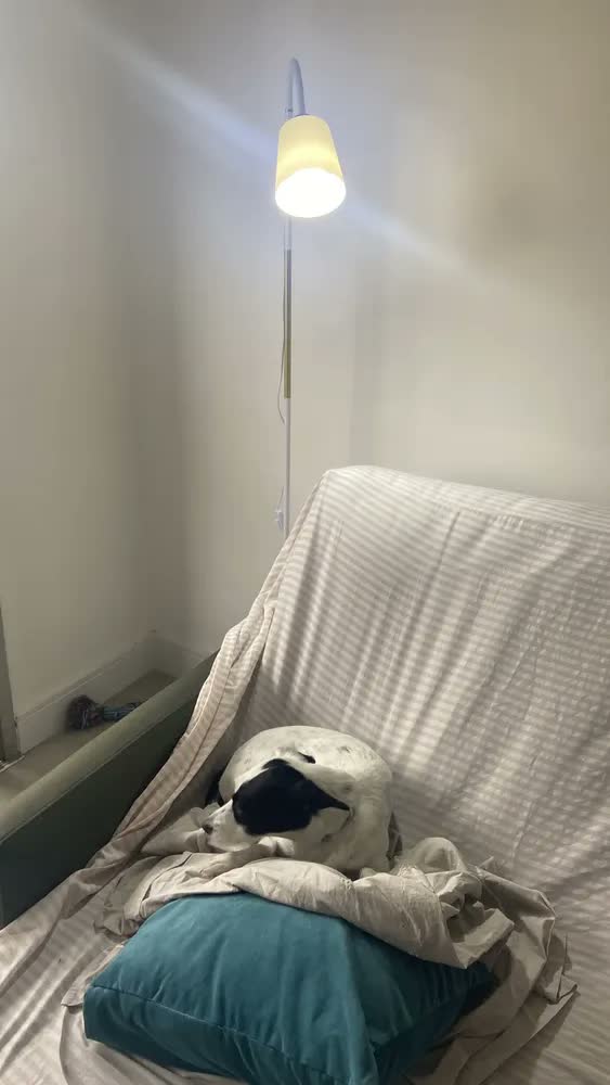 foto de Luminária de Piso Via Flix Minimalista Branca Para Sala e Quarto Luminária De Piso Moderna E Articulada Cúpula Minimalista Lâmpada Com Braço Ajustável 360 Sala Abajur Escritório