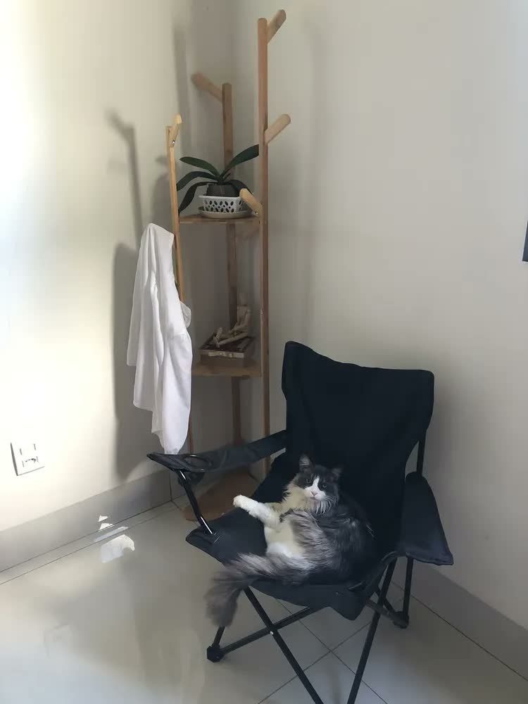 foto de Mancebo Cabideiro Bambu Chão Arara Roupas Prateleira 165cm Bambu Marrom