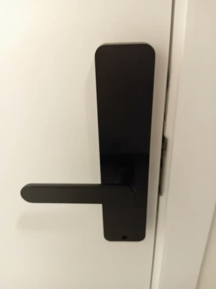 foto de Fechadura Eletrônica Digital Tuya Com Biometria, Senha, Tag E Chave Touch Anti-espião Inteligente Preta Para Porta (casa/apartamento/hotel)