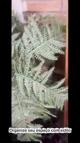 vídeo do produto
