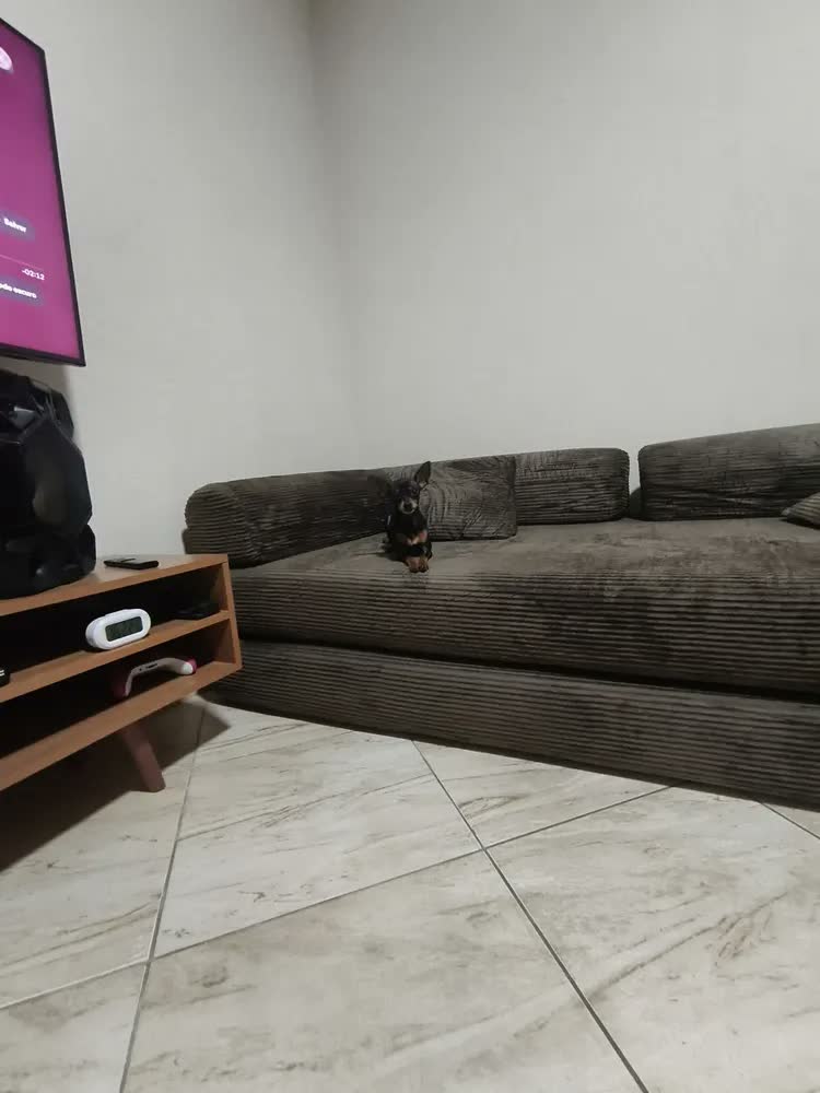 foto de Sofá Cama Modular de Veludo Cotelê Cinza p/ 3 Pessoas, Com Espuma de Alta Densidade e Capa Removível