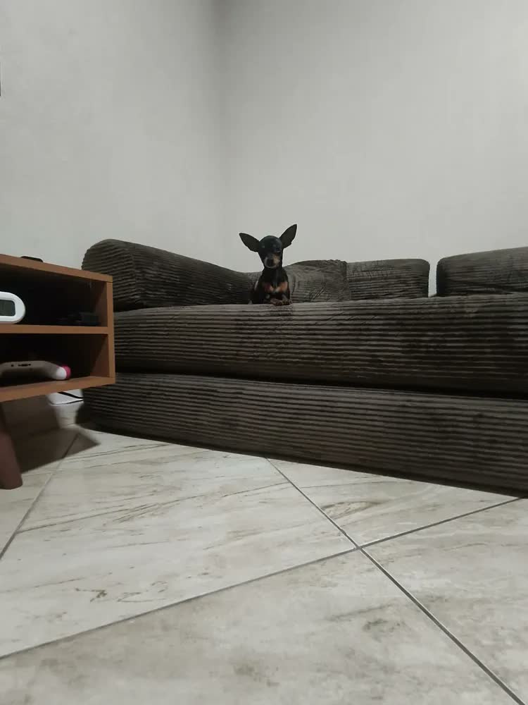 foto de Sofá Cama Modular de Veludo Cotelê Cinza p/ 3 Pessoas, Com Espuma de Alta Densidade e Capa Removível