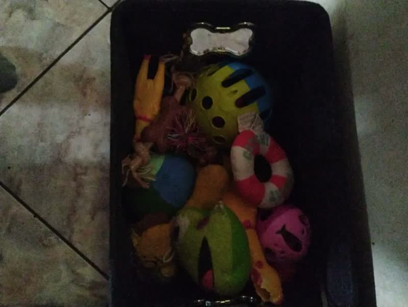 foto de Caixa Cesto Organizador Brinquedos Pet Gatos Cachorro Grande Preto Dog Stuff (estampa Texto Ossos)