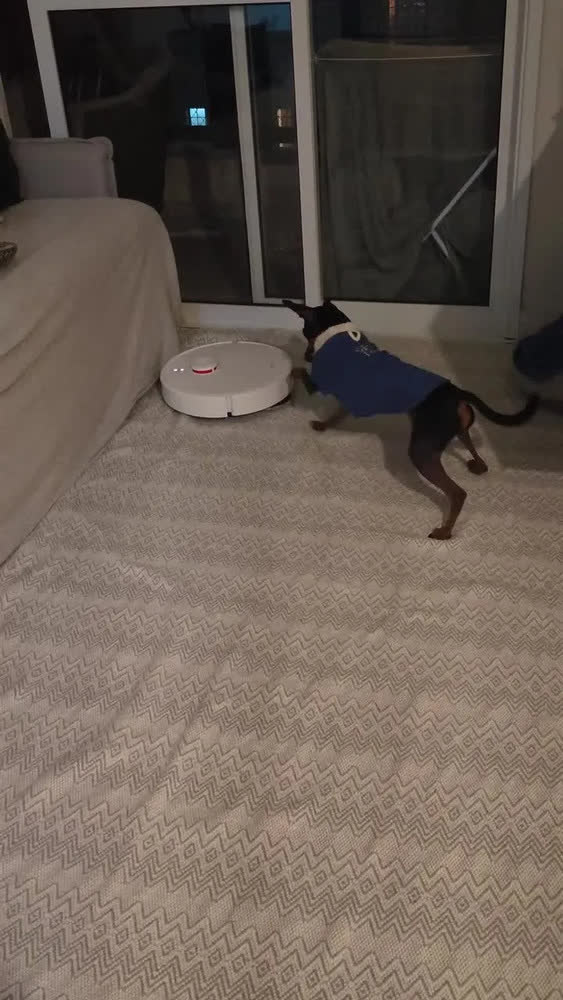 foto de Robô Aspirador Passa Pano Xiaomi Vacuum Robot H50 Cor Branco