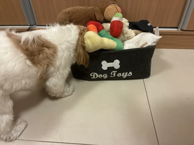 foto de Cesto Organizador Objetos Brinquedos Pet Cachorro Gato Cão Cor Preto