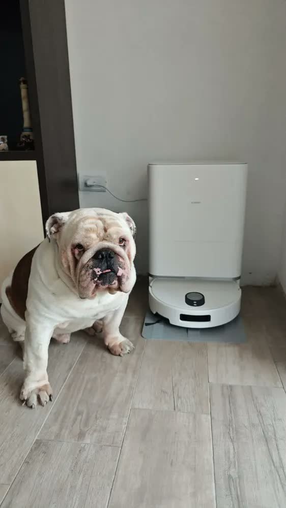 foto de Aspirador Robô Xiaomi Robot Vacuum 5 Base Auto Branco